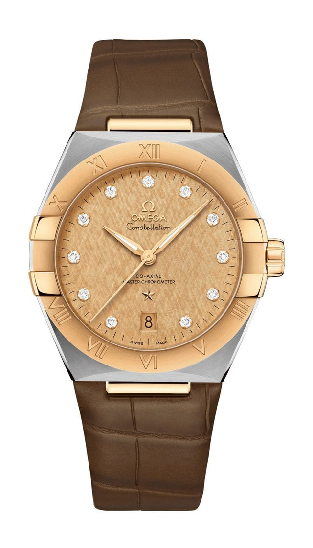 Omega Co-Axial Master Chronometer 39 mm Men's watch 131.23.39.20.58.001